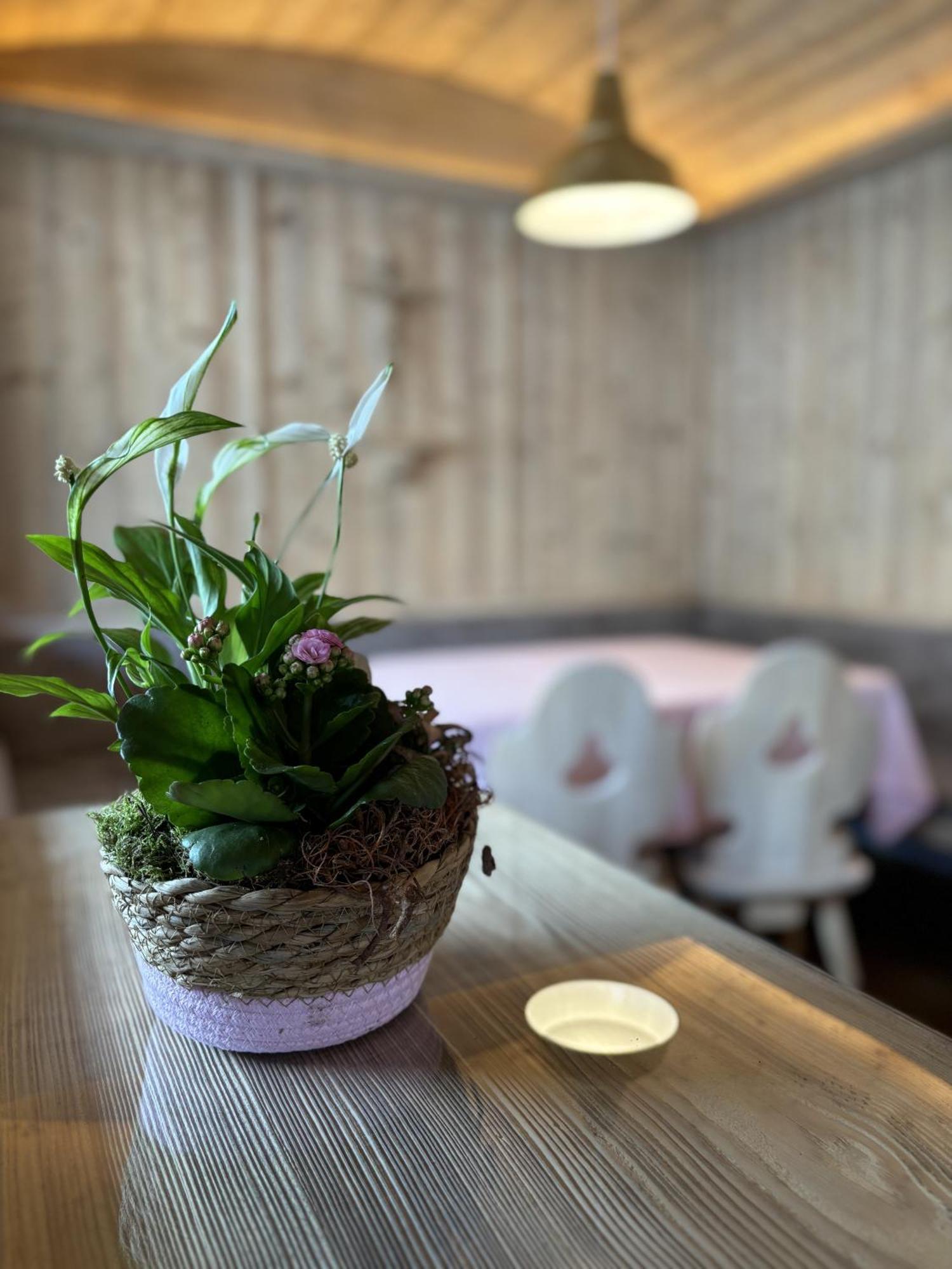 Appartement Rosa Sankt Johann in Tirol Ruang foto
