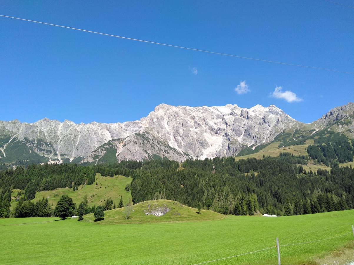 Appartement Rosa Sankt Johann in Tirol Bagian luar foto