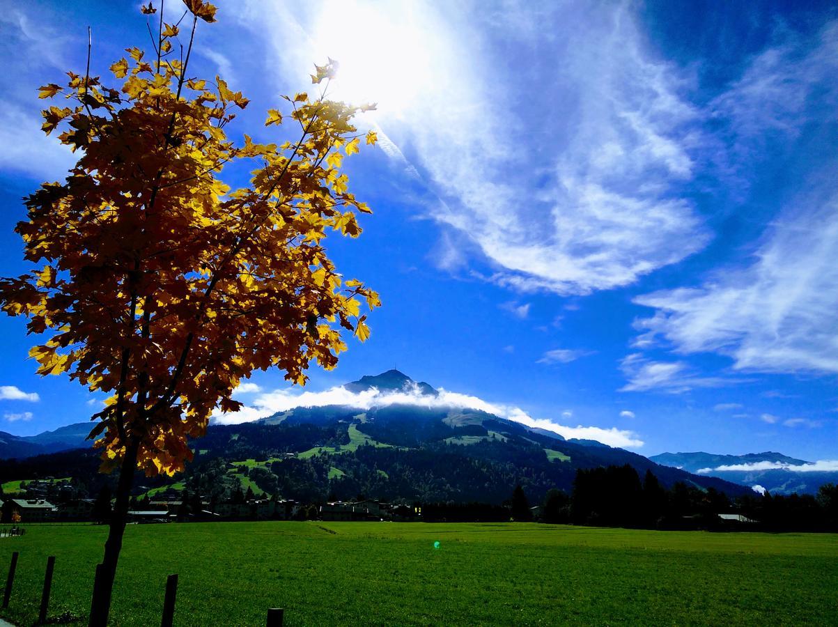 Appartement Rosa Sankt Johann in Tirol Bagian luar foto